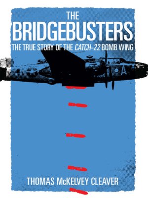 cover image of The Bridgebusters